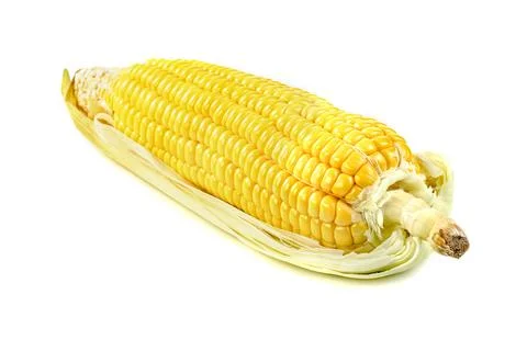 Corn isolated on white background 库存照片