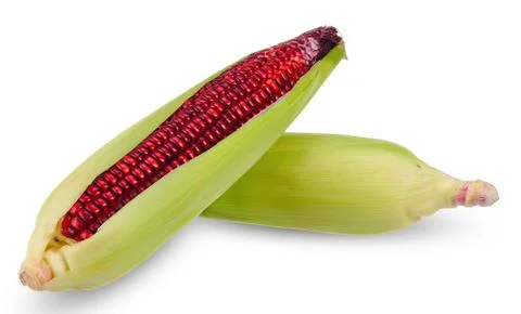 Corn isolated on white with clipping path Stock Photos