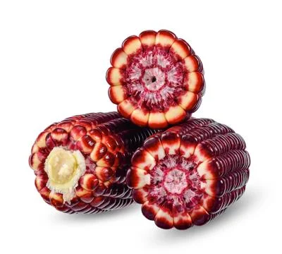 Corn isolated on white with clipping path Stock Photos