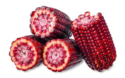 Corn isolated on white with clipping path Stock Photos