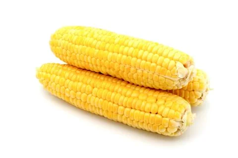 Corn isolated on white Stock Photos