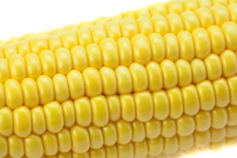 Corn is isolated on a white Stock Photos