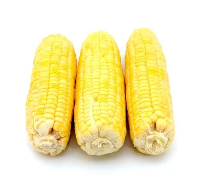 Corn isolated on white Stock Photos