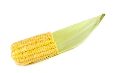 Corn isolated on white Stock Photos