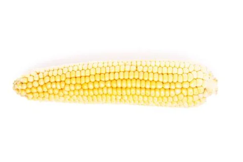 Corn isolated on white Stock Photos