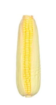 Corn isolated on white Stock Photos