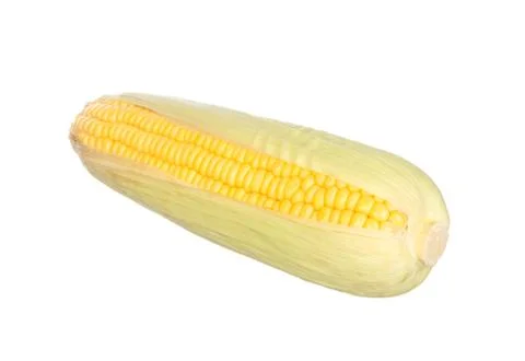 Corn isolated on white Stock Photos
