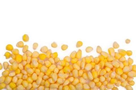 Corn isolated on white Stock Photos