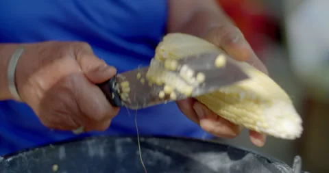 Corn kernels are sliced from fresh corn cobs and collected into a container. Stock Footage 323344535