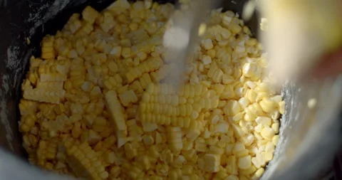 Corn kernels are sliced from fresh corn cobs and collected into a container. Stock Footage 323344573