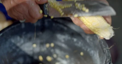 Corn kernels are sliced from fresh corn cobs and collected into a container. Stock Footage 323344583