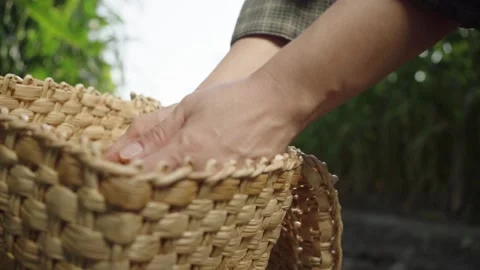 Corn kernels in a basket in hand Stock Footage 143237701