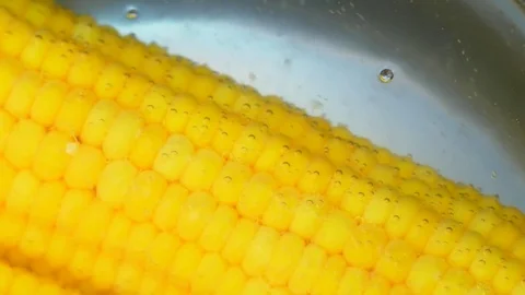 Corn kernels in boiling water Stock Footage 84301608