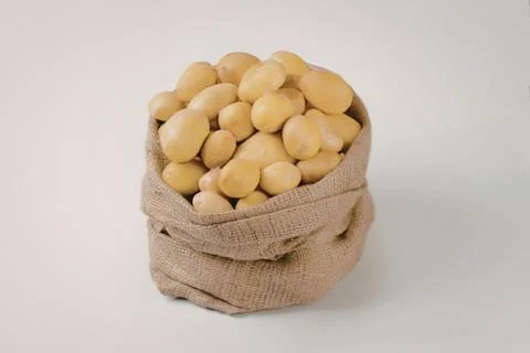 Corn kernels in a burlap sack Stock Photos