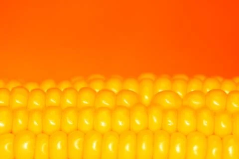 Corn kernels close-up on an orange background Foto stock
