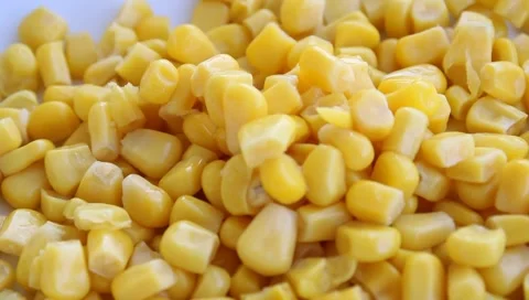 Corn kernels , close up view of cooked swet corns on a plate Stock Footage 160094129