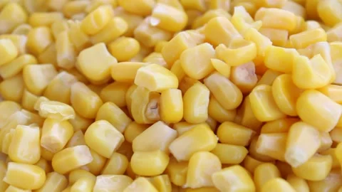 Corn kernels , cooked swet corns top view Stock Footage 159703895