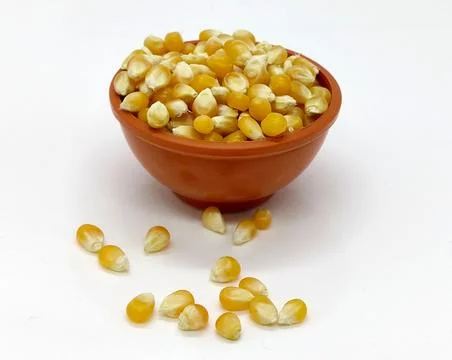 Corn kernels, Corns Seeds, Yellow dry corn grains isolated on white backgroun Stock Photos