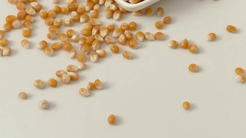 Corn kernels exploding in plate, on white background Stock Footage 101093343