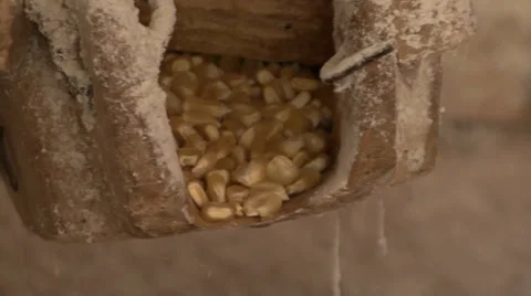 The corn kernels fall to the millstone Stock Footage 36973607
