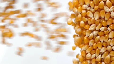 Corn kernels fall in slow motion and cover the whole screen, vertical video Stock Footage 172215359