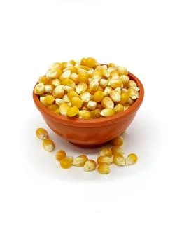 Corn kernels, Falling Corns Seeds, Yellow dry corn grains isolated on white.. Stock Photos