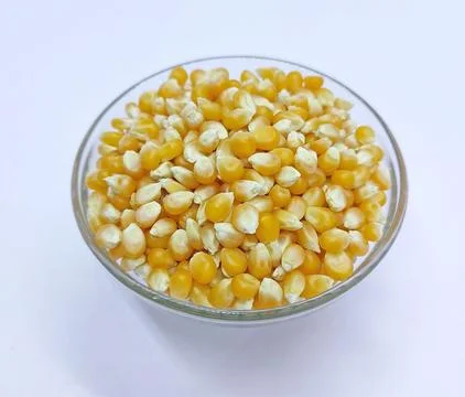 Corn kernels, Falling Corns Seeds, Yellow dry corn grains in bowl on white .. Stock Photos