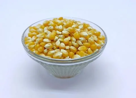 Corn kernels, Falling Corns Seeds, Yellow dry corn grains isolated on white.. Stock Photos