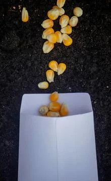 Corn kernels falling into a white paper bag on black surface Stock Photos