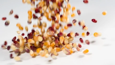 Corn kernels falling onto a white surface in slow motion Vídeo Stock 116510226
