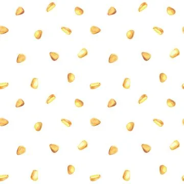 Corn kernels, grains or corncob seeds, golden maize seamless pattern. Watercolor Stock Illustration