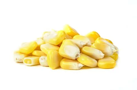 Corn kernels isolated on white background 库存照片