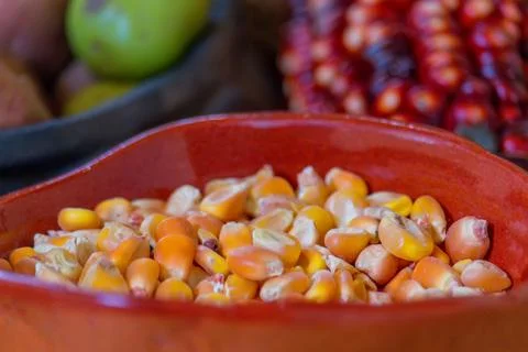 Corn kernels - macro Stock Photos