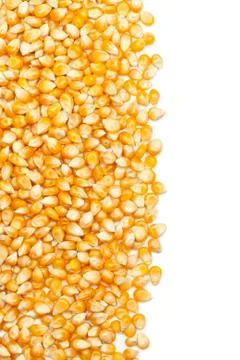 Corn kernels Stock Photos