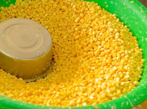 Corn kernels Stock Photos