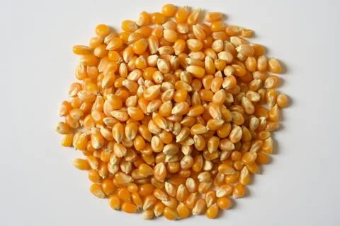 Corn kernels Stock Photos