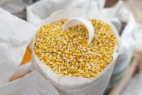 Corn kernels in sack at an market. Grains are ready for sale or export Stock Photos