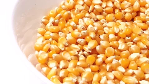 Corn kernels spinning inside a white ceramic bowl. Stock Footage 160929721