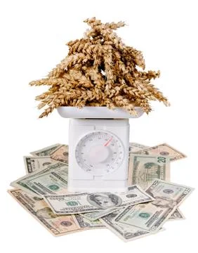 Corn on the kitchen scale with dollars Stock Photos