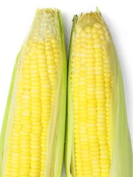 Corn with leaves Stock Photos