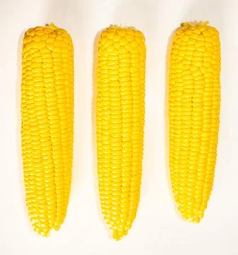 Corn lies on the table Stock Photos