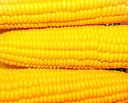 Corn lies on the table Stock Photos