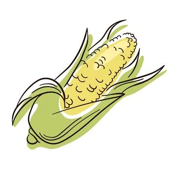Corn line drawing. Flat illustration of Corn vector isolated on white background Illustrazione stock