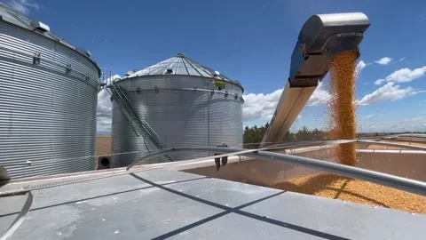Corn loaded from grain bin Stock Footage 221723766