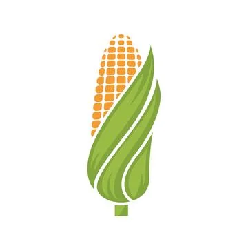 Corn logo illustration vector Stock Illustration