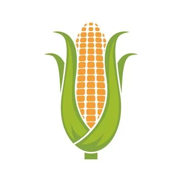 Corn logo illustration vector Illustration