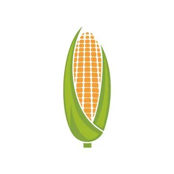 Corn logo illustration vector Illustration