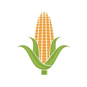 Corn logo illustration vector 스톡 일러스트