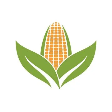 Corn logo illustration vector Stock Illustration