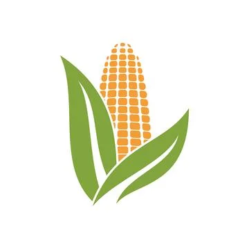 Corn logo illustration vector Illustration